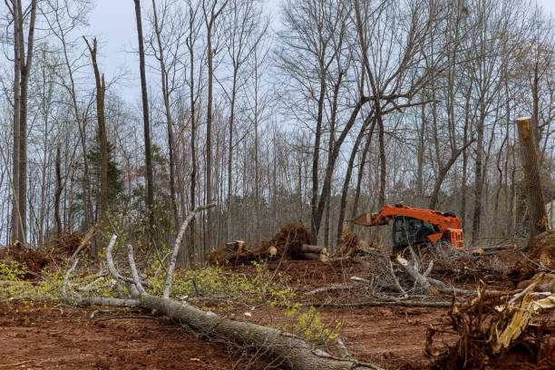 Soil Testing and Treatment in Woodworth, LA